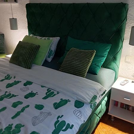 Green Cactus Rooms - Unique And Cozy House Senta Exterior foto