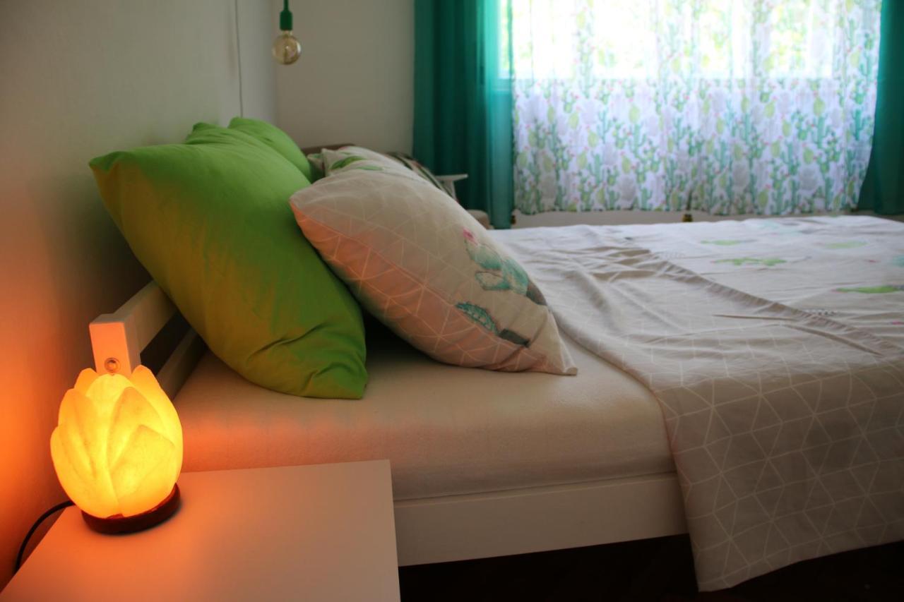 Green Cactus Rooms - Unique And Cozy House Senta Exterior foto