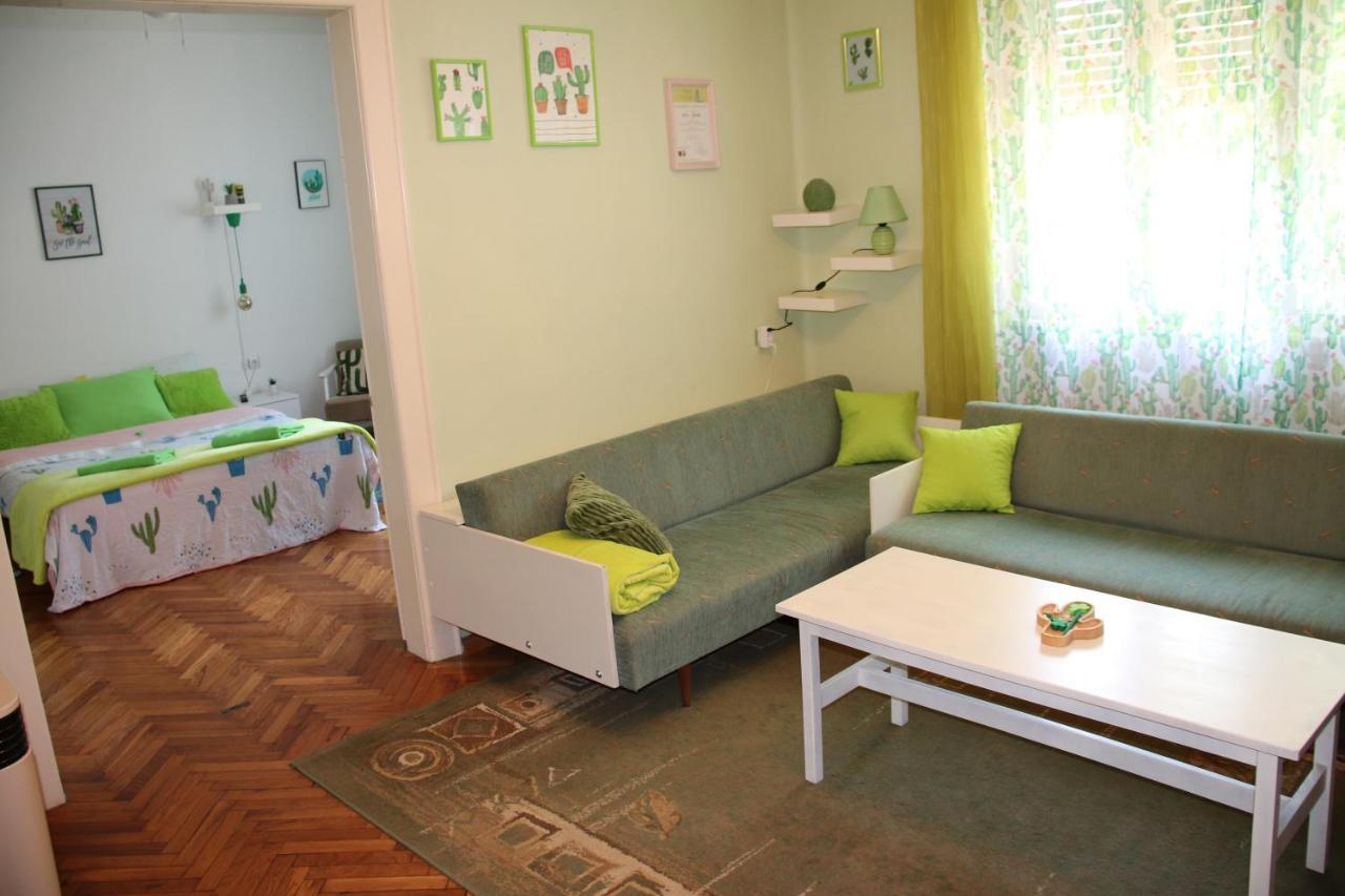 Green Cactus Rooms - Unique And Cozy House Senta Exterior foto