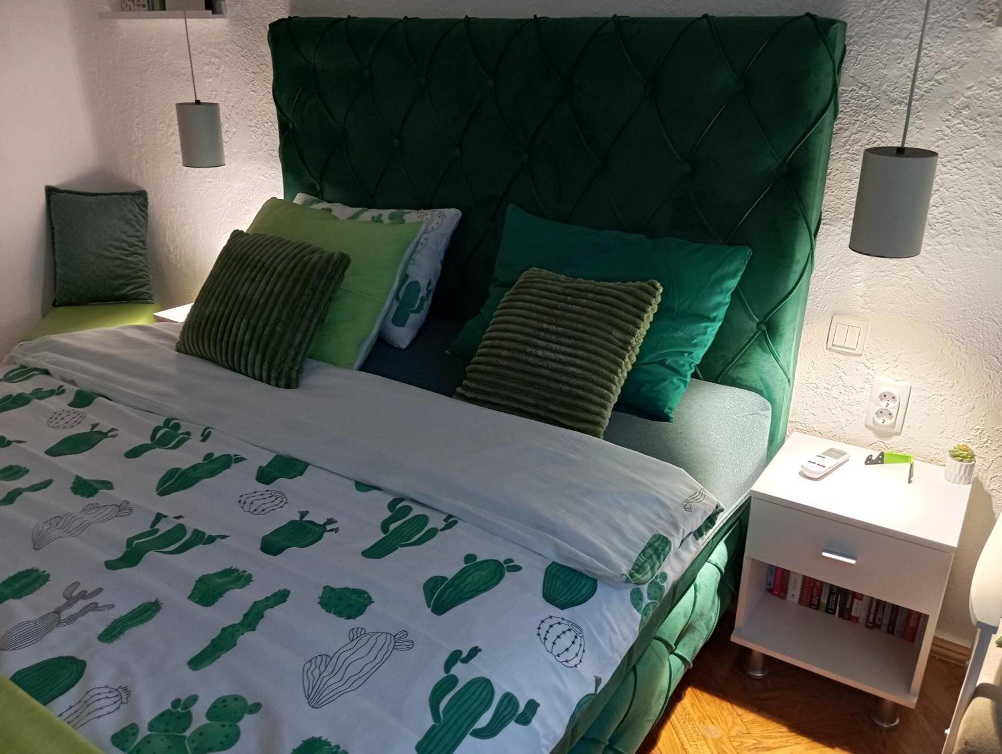 Green Cactus Rooms - Unique And Cozy House Senta Exterior foto