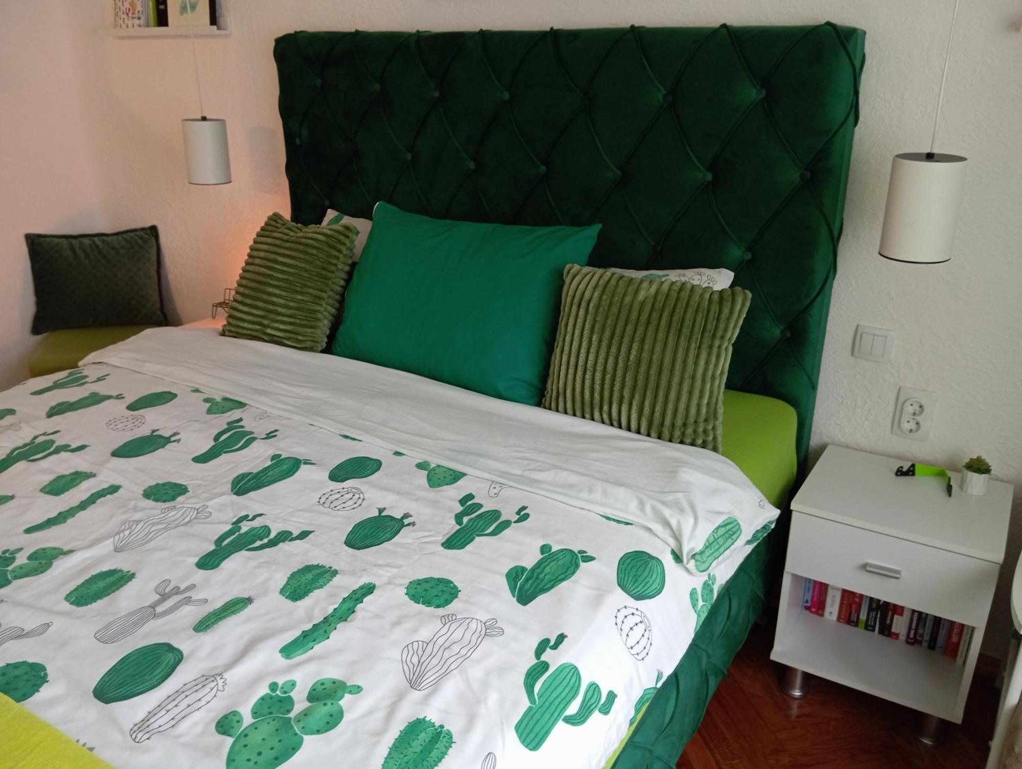 Green Cactus Rooms - Unique And Cozy House Senta Exterior foto