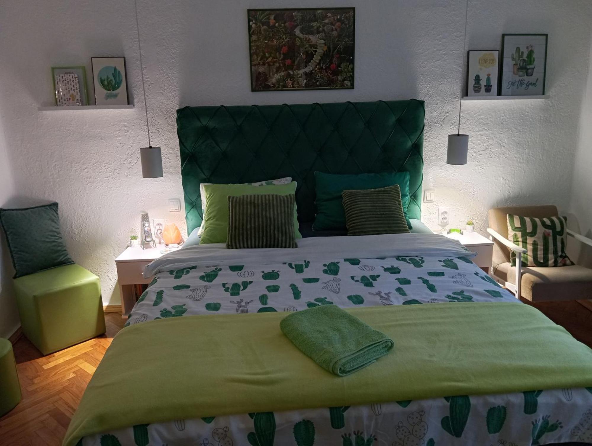 Green Cactus Rooms - Unique And Cozy House Senta Exterior foto